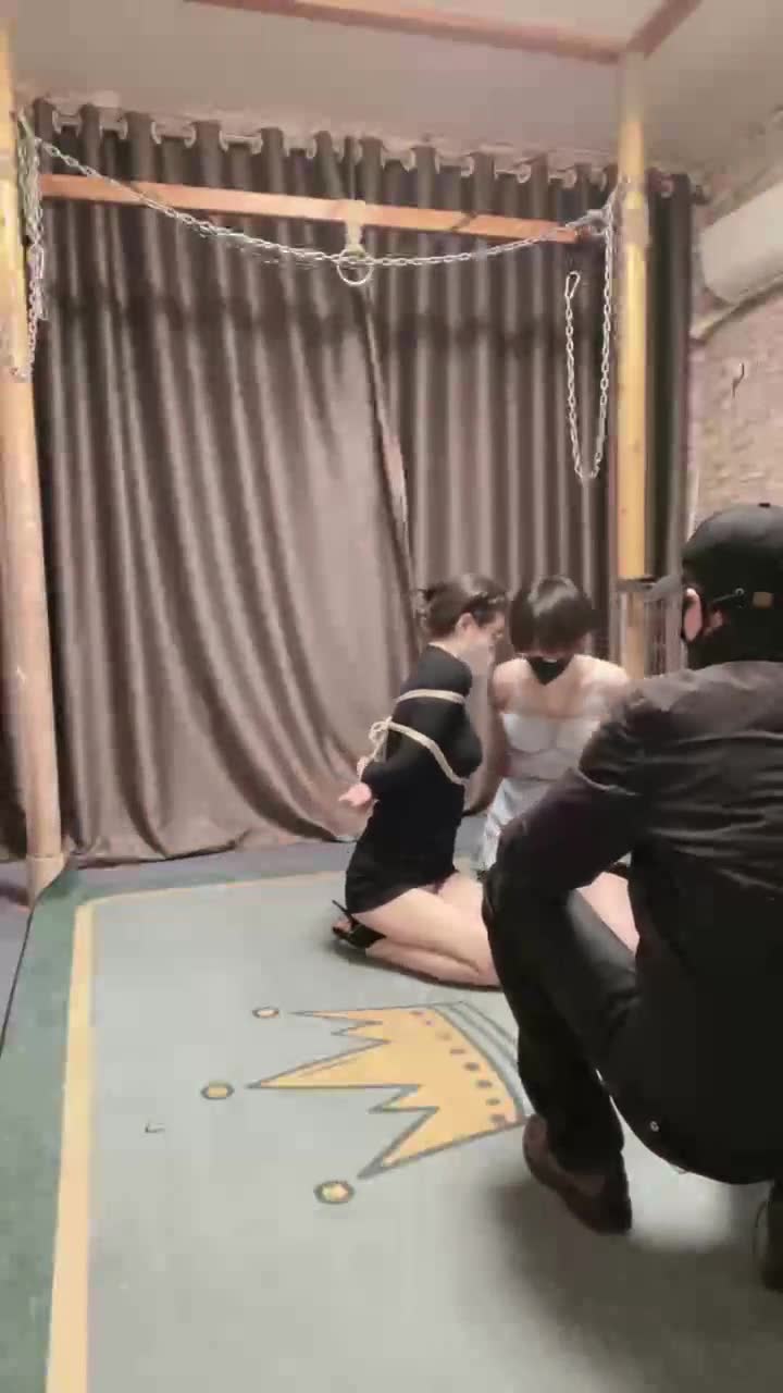 剧情 制服两个女贼