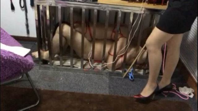 情侣M被女S塞进笼子，还强制被舔高跟互虐