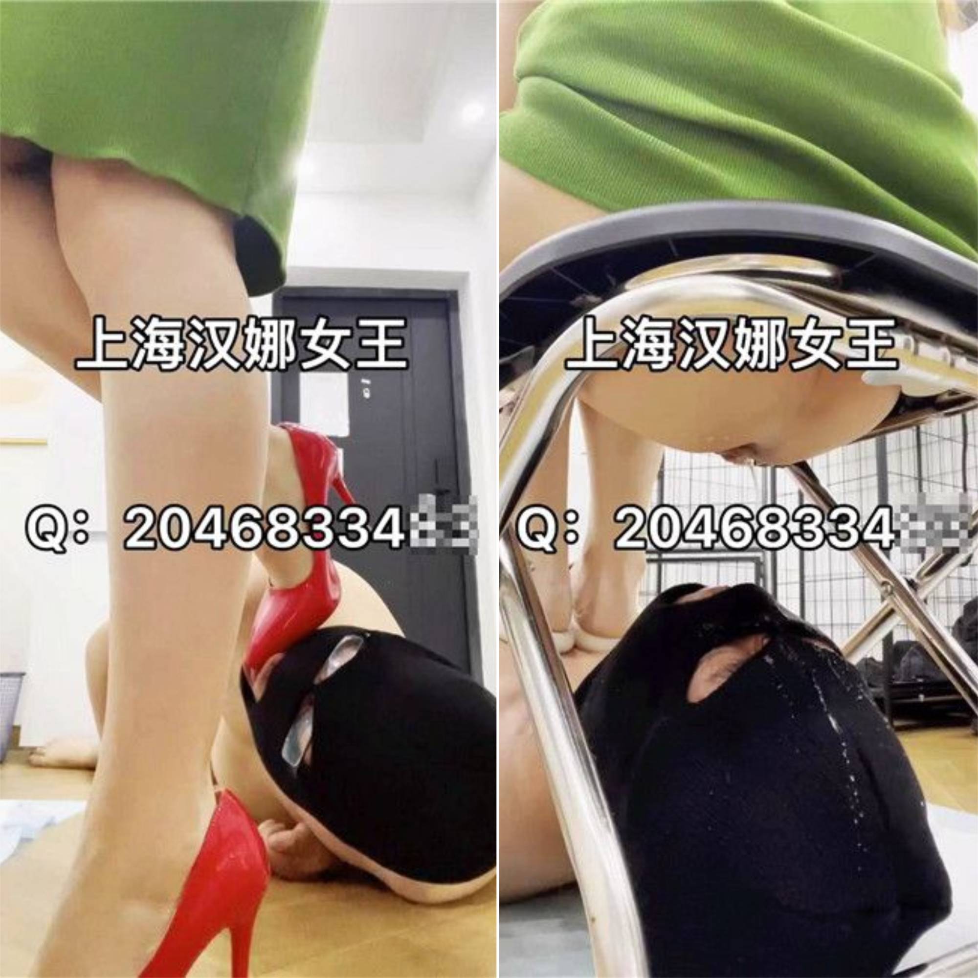 瑞娜S想吃黄金就求主人赏赐