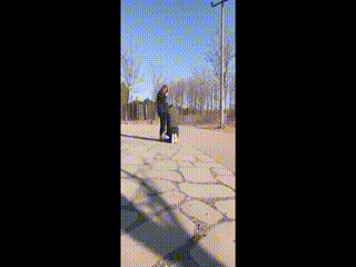 女S马路溜jian男M视屏