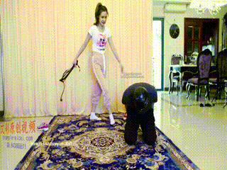 女王皮鞭抽豚践踏M