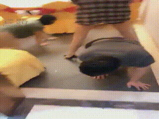 两狗为主脚狂