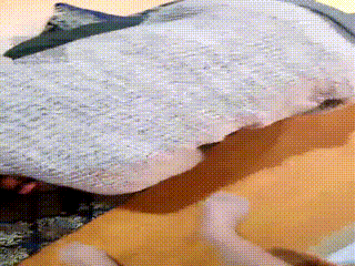 护垫喂学弟光跨口