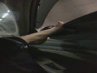 心竹小萌大大（现实车中调教