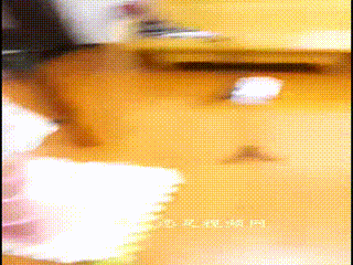 调教女狗