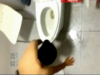 调教贱狗