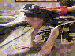 主人的胯下舔狗