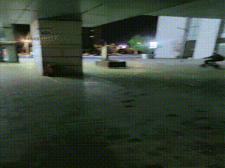 户外调狗
