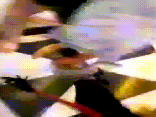 双女厕所虐贱狗