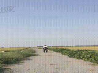 骑马看风景