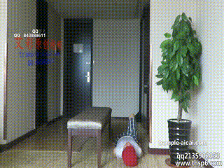 [万万白丝全体重坐脸]