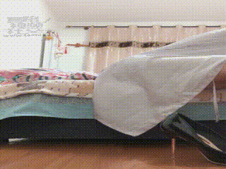 vivi第一视角