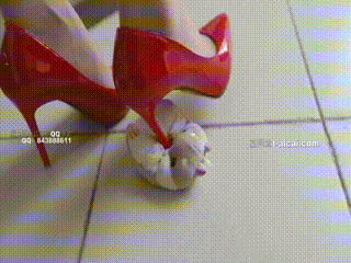 [西安女s招奴信息大全]20438 奴隶岛灵灵