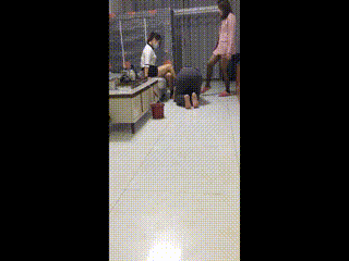 调教奴下奴
