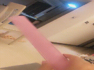 【调教小白鞋】 小白鞋休闲鞋女高跟鞋