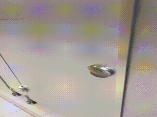 套路女主女厕所调教贱狗